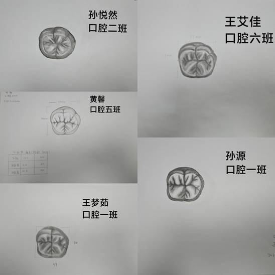 a4638aa390b650a9f53eda55548191f